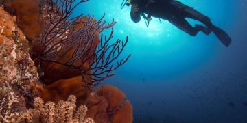 UABCS: INSTITUCIÓN MEXICANA CON MAYOR  REPRESENTACIÓN DE EXPERTOS EN CAPÍTULO DEL REPORTE MUNDIAL SOBRE ARRECIFES DE CORAL