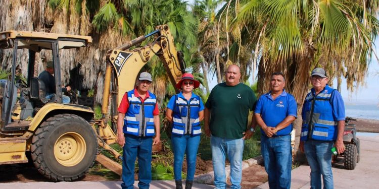 CONCLUYEN CON ÉXITO TRABAJOS DE DESAZOLVE EN EL ARROYO DE SAN BRUNO: CELINA RAMÍREZ