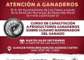 CAPACITARÁN A PRODUCTORES DE LOS CABOS PARA PREVENIR EL GUSANO BARRENADOR DEL GANADO