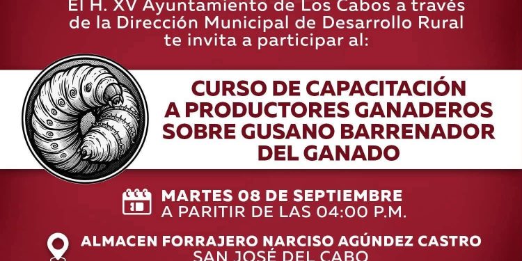 CAPACITARÁN A PRODUCTORES DE LOS CABOS PARA PREVENIR EL GUSANO BARRENADOR DEL GANADO