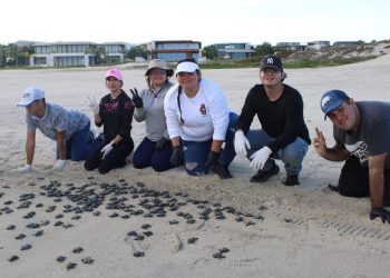 ESTUDIANTES DE LA UABCS SEDE LA RIBERA REALIZARON ACTIVIDADES DE PROTECCIÓN Y CONSERVACIÓN DE TORTUGAS MARINAS