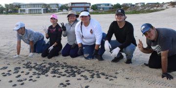 ESTUDIANTES DE LA UABCS SEDE LA RIBERA REALIZARON ACTIVIDADES DE PROTECCIÓN Y CONSERVACIÓN DE TORTUGAS MARINAS