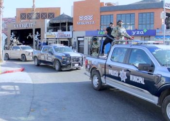 LLAMAN A PROTEGER A TORTUGAS MARINAS ANTE AUMENTO DE ARRIBOS EN PLAYAS DE LOS CABOS