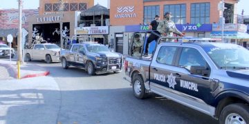 LLAMAN A PROTEGER A TORTUGAS MARINAS ANTE AUMENTO DE ARRIBOS EN PLAYAS DE LOS CABOS