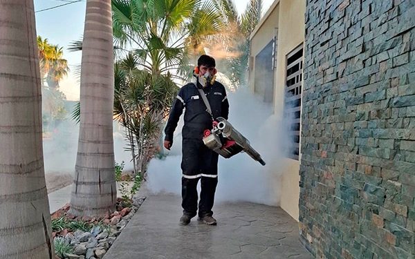 REFUERZA SALUD ESTATAL ACCIONES CONTRA EL DENGUE EN CIUDAD CONSTITUCIÓN