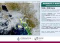 EMITE GOBIERNO DE LOS CABOS AVISO PREVENTIVO POR PRONÓSTICO DE LLUVIAS Y VIENTO