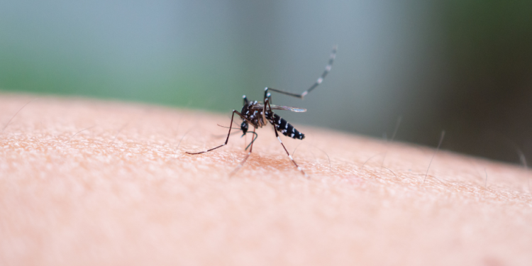 LLAMA A ISSSTE BAJA CALIFORNIA SUR A PREVENIR EL DENGUE Y ACUDIR OPORTUNAMENTE A REVISIÓN MÉDICA