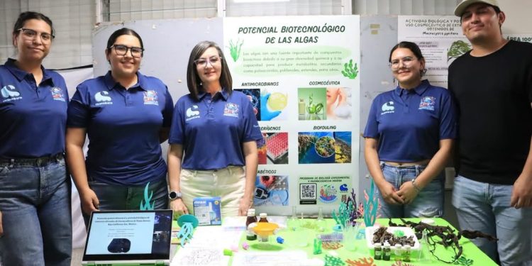 UABCS CELEBRA EL PRIMER FESTIVAL DE LAS ALGAS PARA ACERCAR LA CIENCIA Y EXPLORAR NUEVAS OPORTUNIDADES